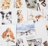 Product image for B9781399600156