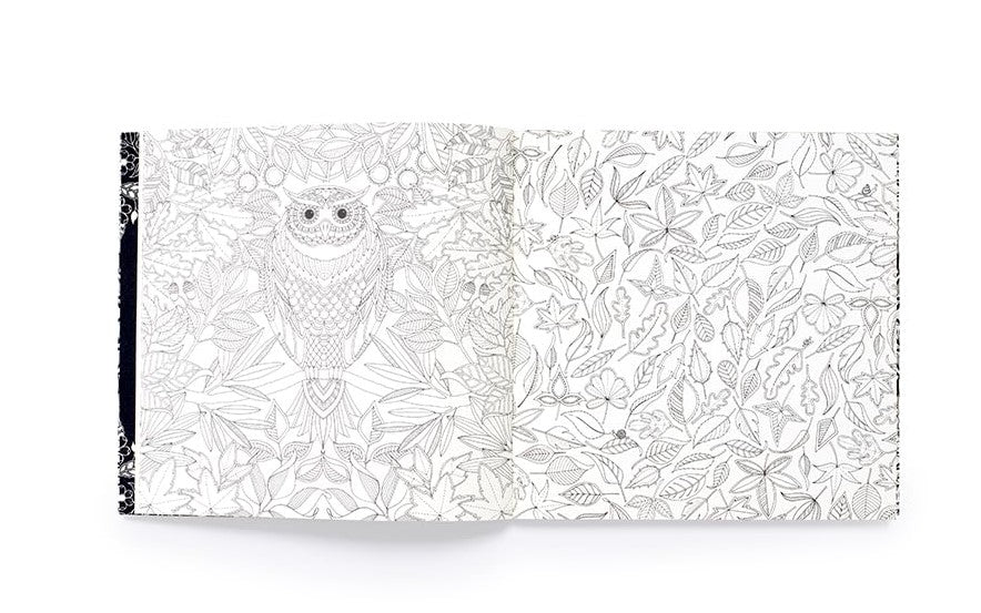 Product image for B9781399616775