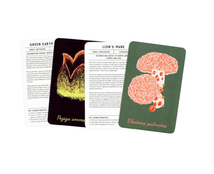 MUSHROOM COMPENDIUM EXPLORE  MUSHROOMS CARDS