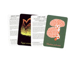 Product image for B9781399620864