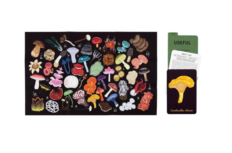 MUSHROOM COMPENDIUM EXPLORE  MUSHROOMS CARDS