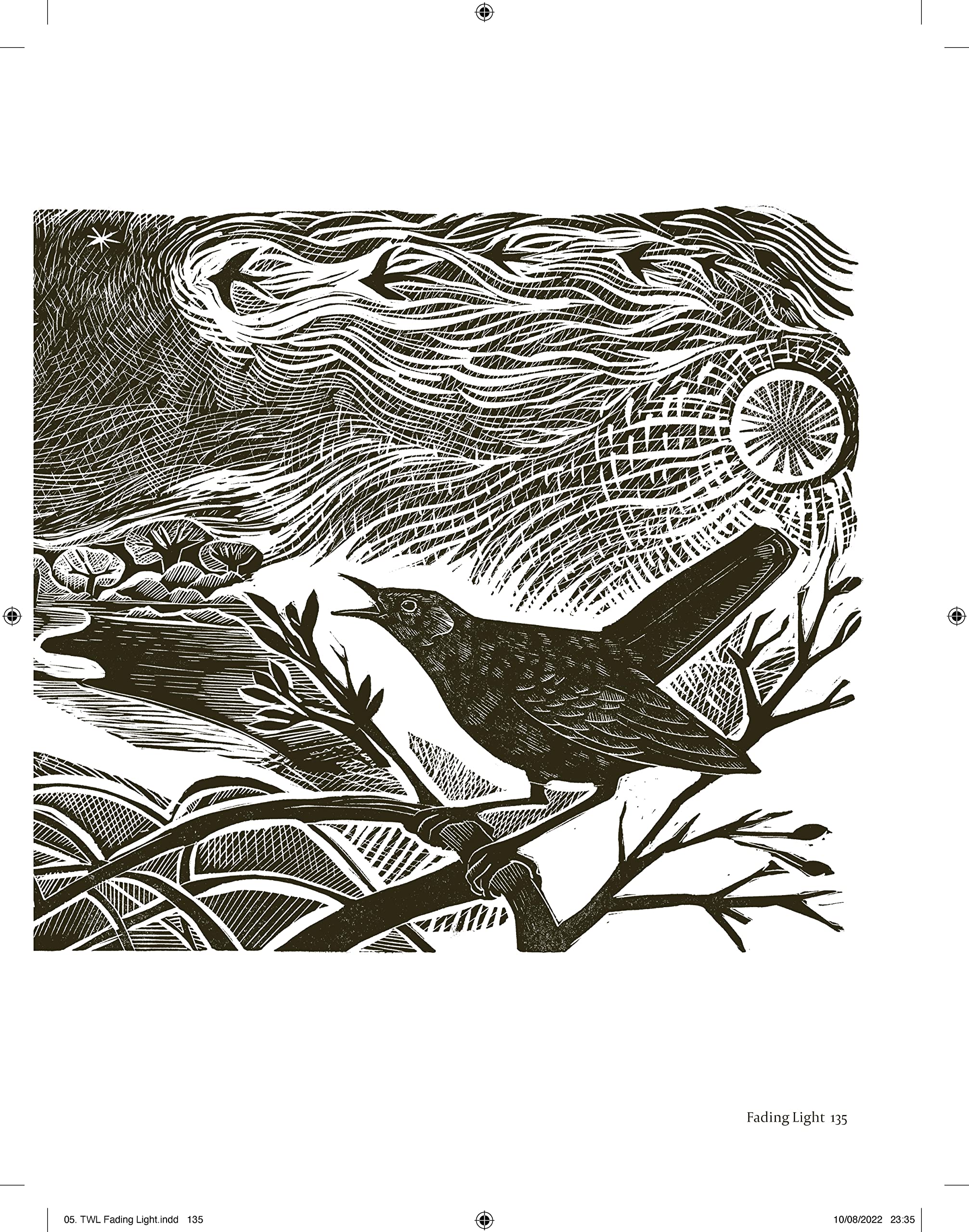 Product image for B9781408726808