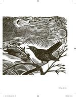 Product image for B9781408726808