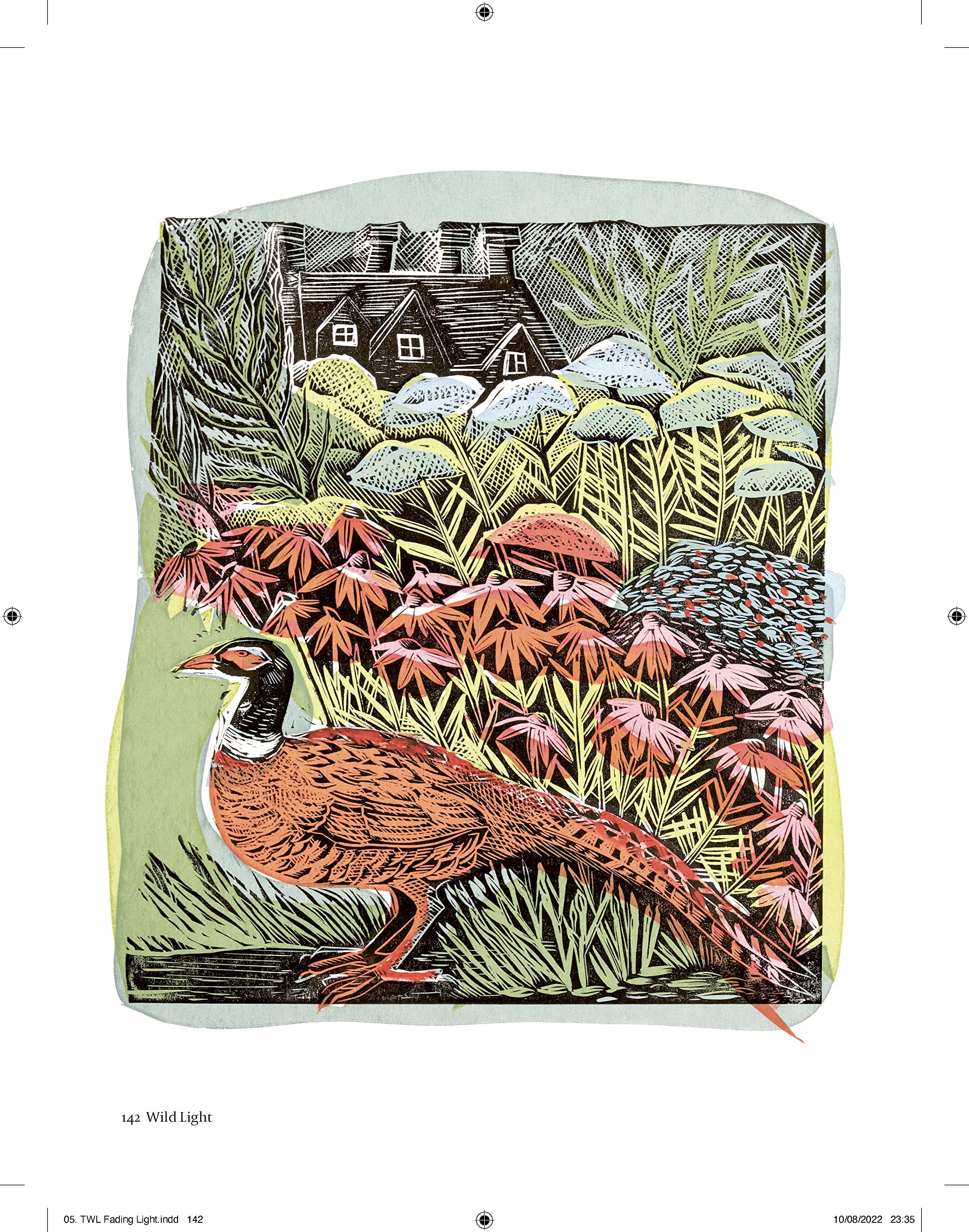 Product image for B9781408726808