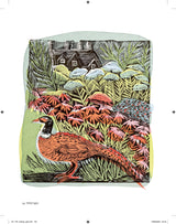 Product image for B9781408726808