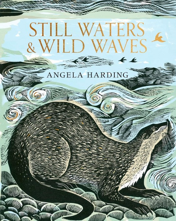 STILL WATERS AND WILD WAVES ANGELA HARDING