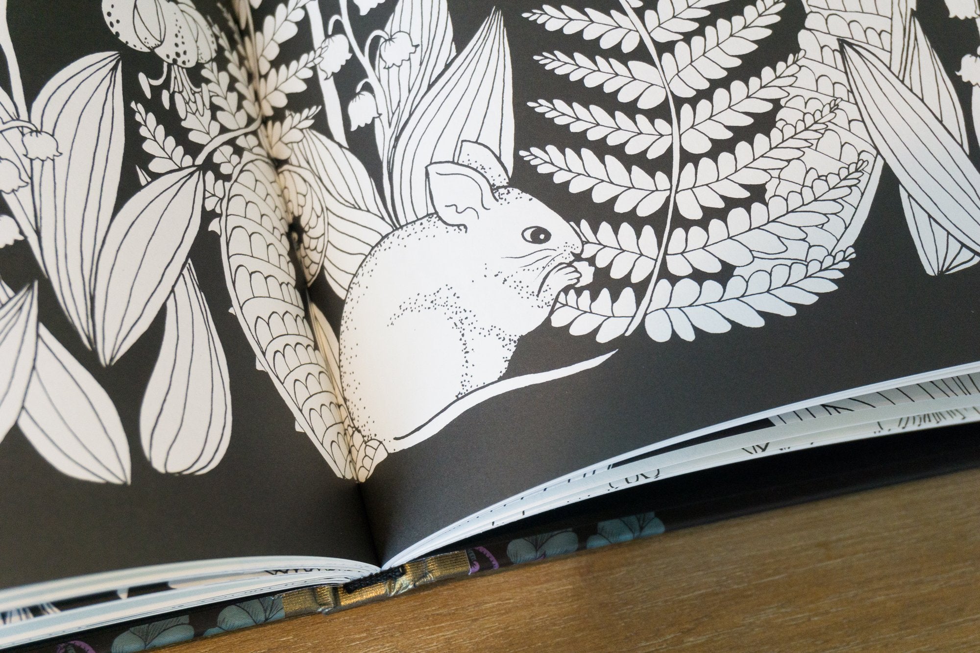 Product image for B9781423647065