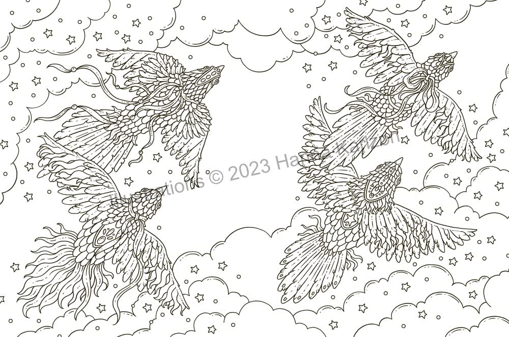 Product image for B9781423663539