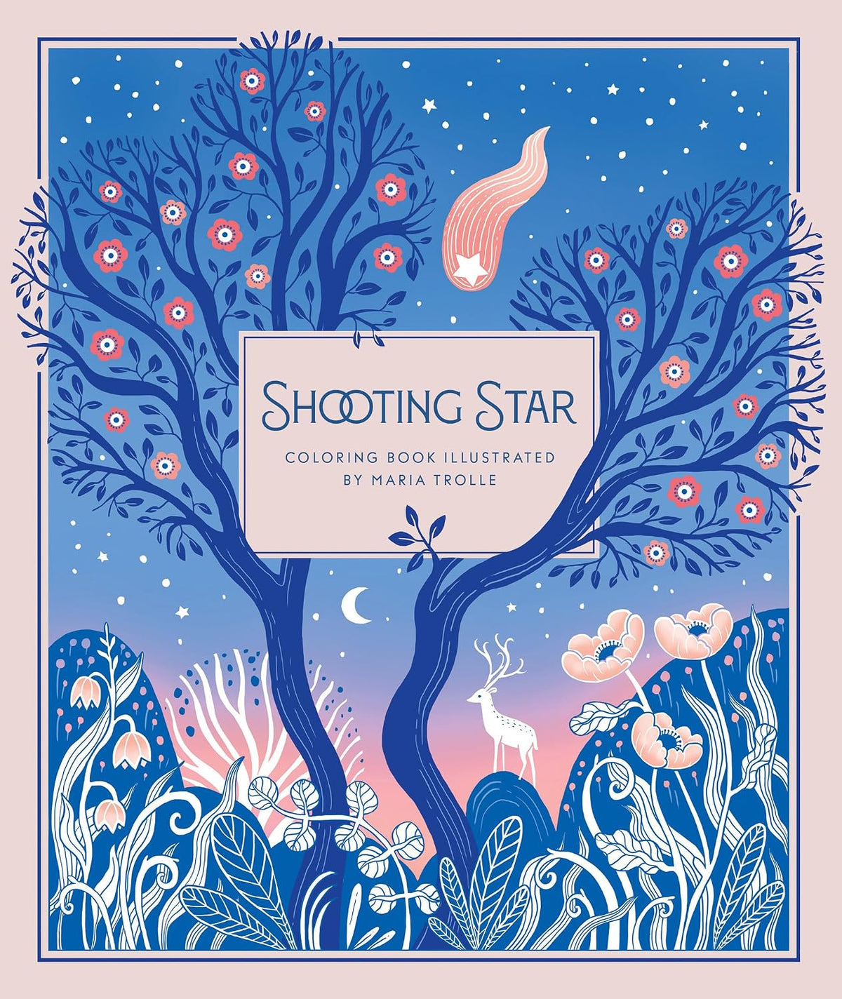SHOOTING STAR: COLORING BOOK
