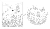 SHOOTING STAR: COLORING BOOK