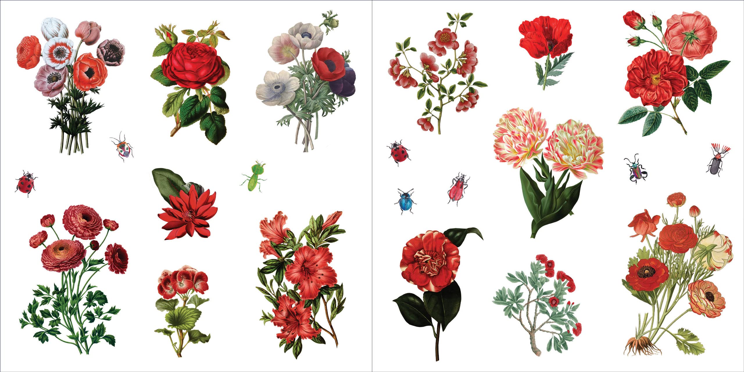 BUNCHES OF BOTANICALS STICKER BOOK