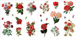 BUNCHES OF BOTANICALS STICKER BOOK