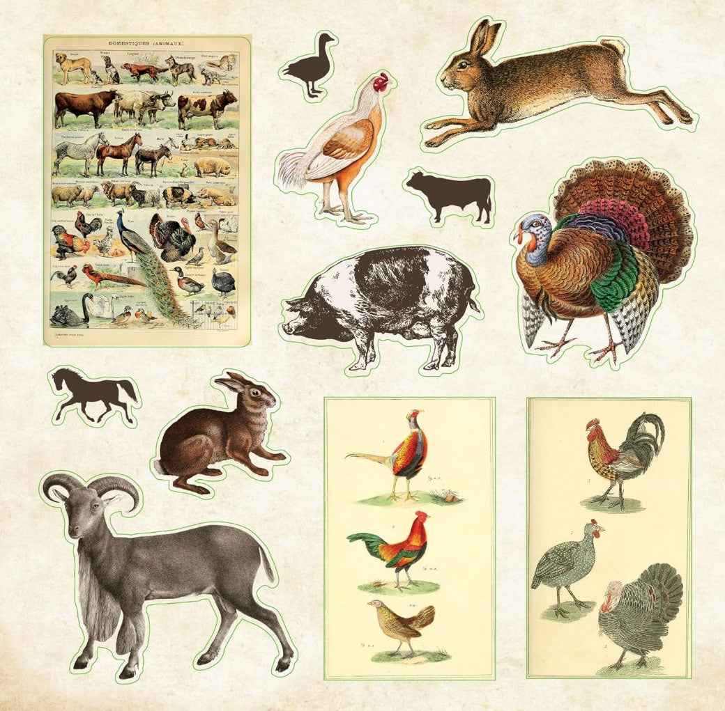 ZOOLOGICAL EPHEMERA STICKER BOOK