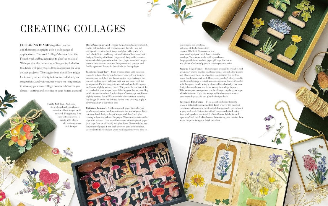 Product image for B9781446309933