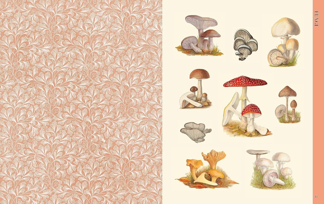 Product image for B9781446309933