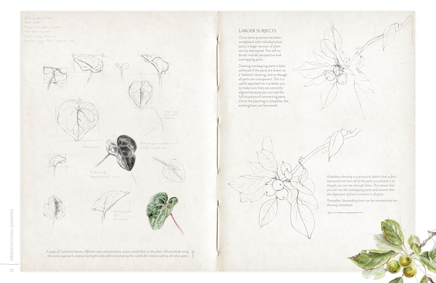 SKETCHING NATURE