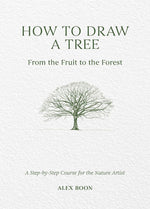 DRAW A TREE FRUIT TO THE FOREST