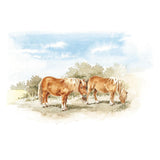 BEDSIDE BOOK OF WATERCOLOUR WISDOM