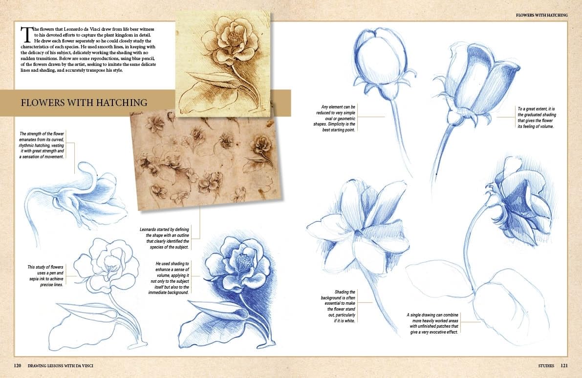 DRAWING LESSONS WITH DA VINCI