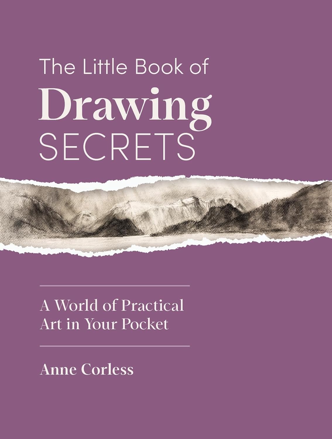 THE LITTLE BOOK OF DRAWING SECRETS