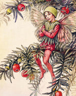 FLOWER FAIRIES TO CUT OUT AND COLLAGE