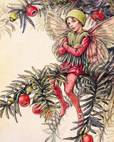 FLOWER FAIRIES TO CUT OUT AND COLLAGE