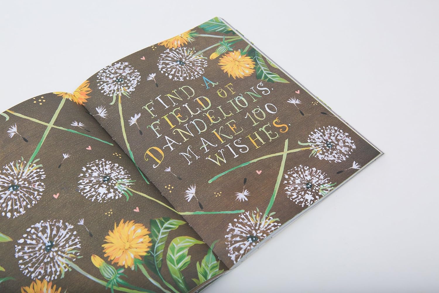 THE WILDFLOWER'S WORKBOOK