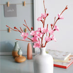 Product image for B9781488965890