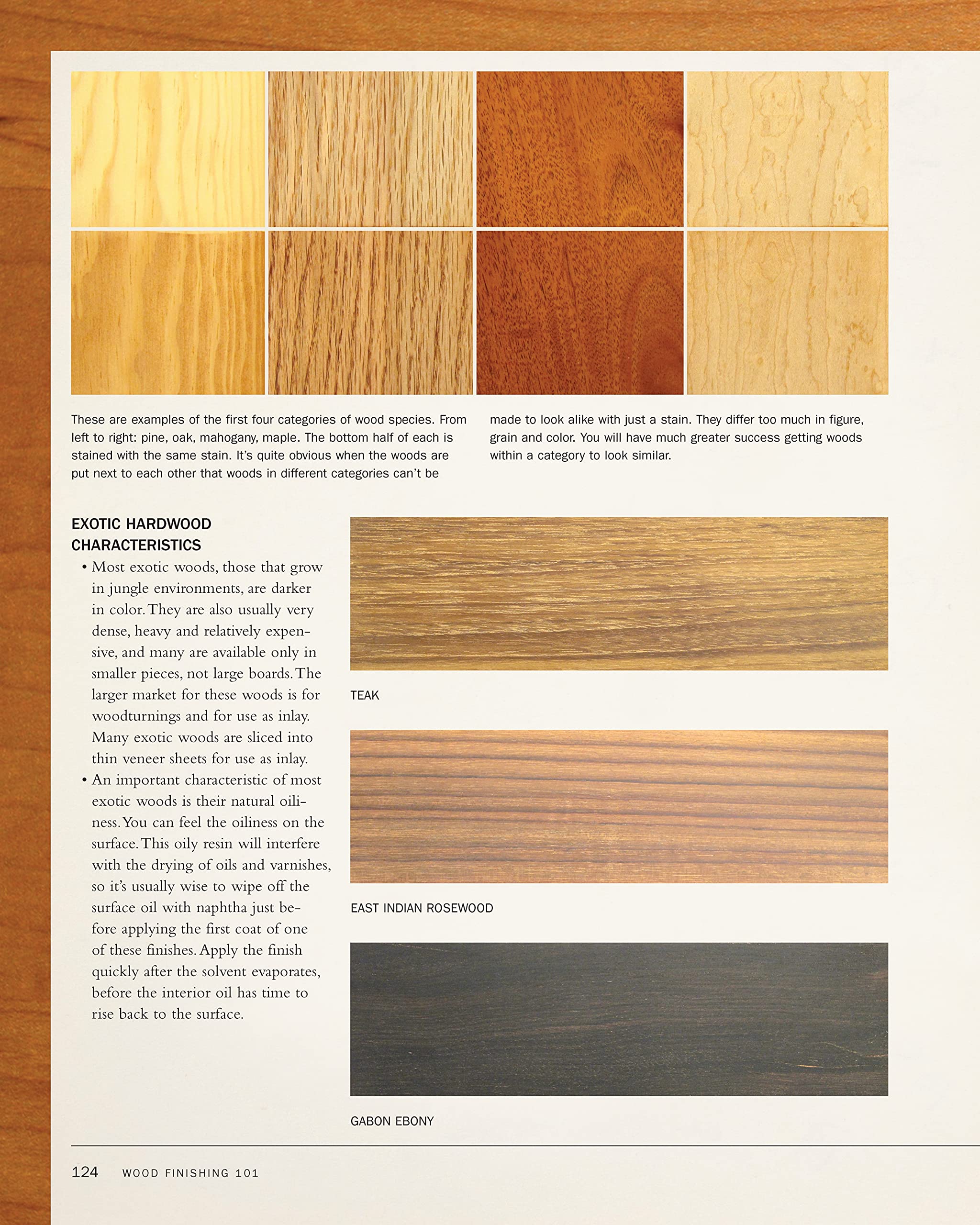 WOOD FINISHING 101 REVISED EDITION