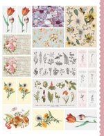 Product image for B9781507220474