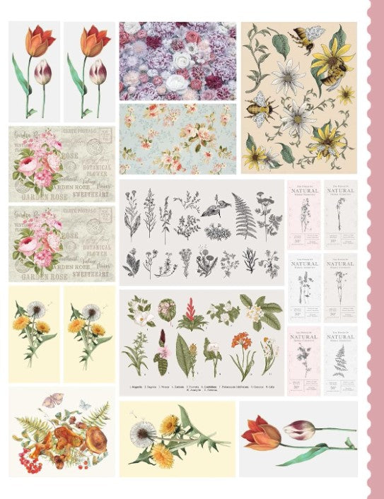 Product image for B9781507220474