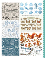 Product image for B9781507220474