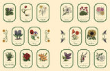 GREEN WITCH'S STICKER BOOK