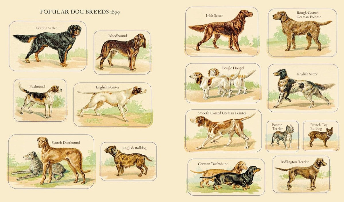 Product image for B9781523526154