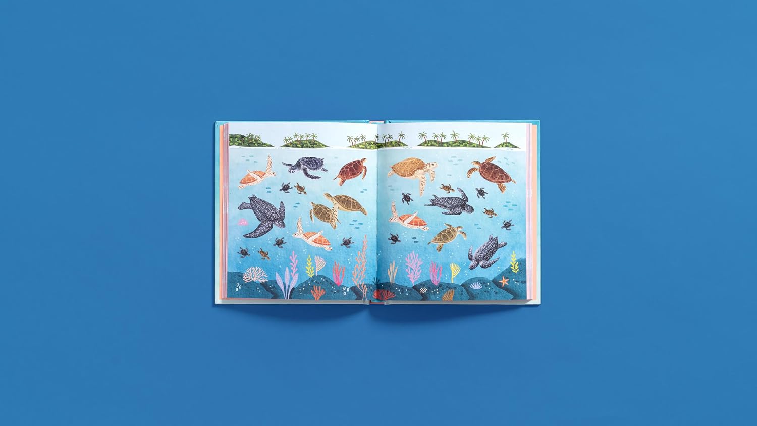 AN OCEAN LOVER'S STICKER BOOK