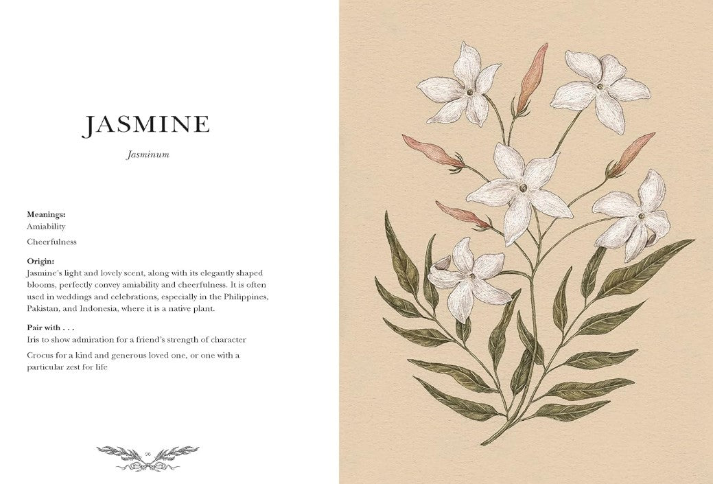 Product image for B9781524858148