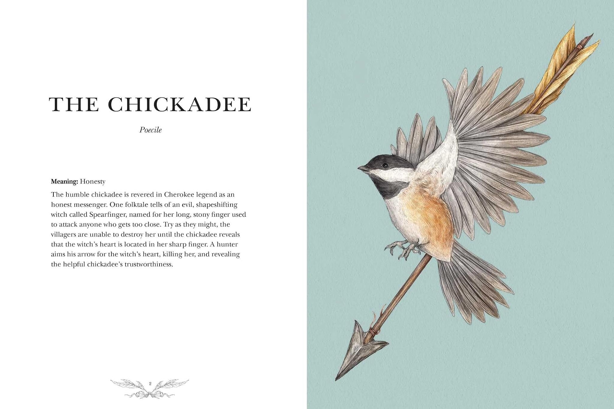 Ornithography