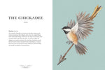 Ornithography