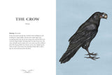 Ornithography