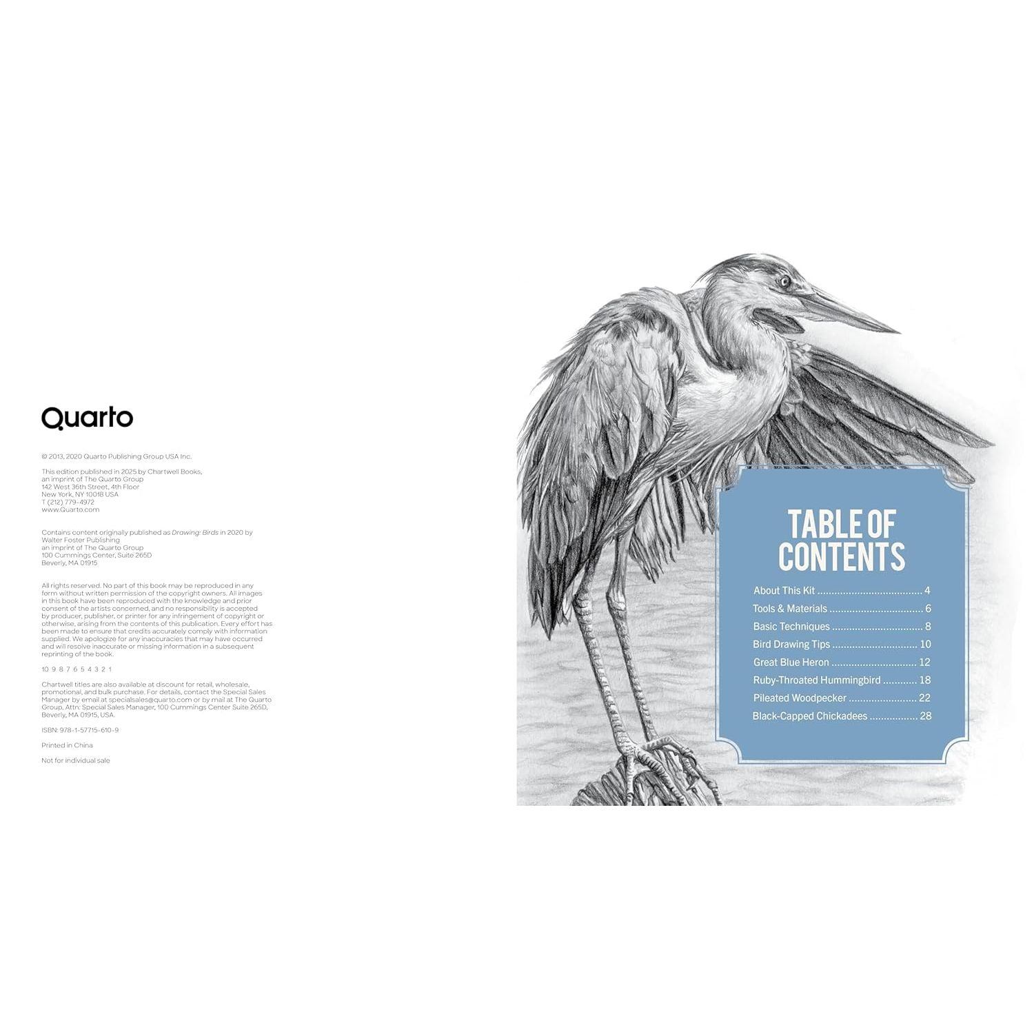 BIRDERS DRAWING AND COLOURING KIT