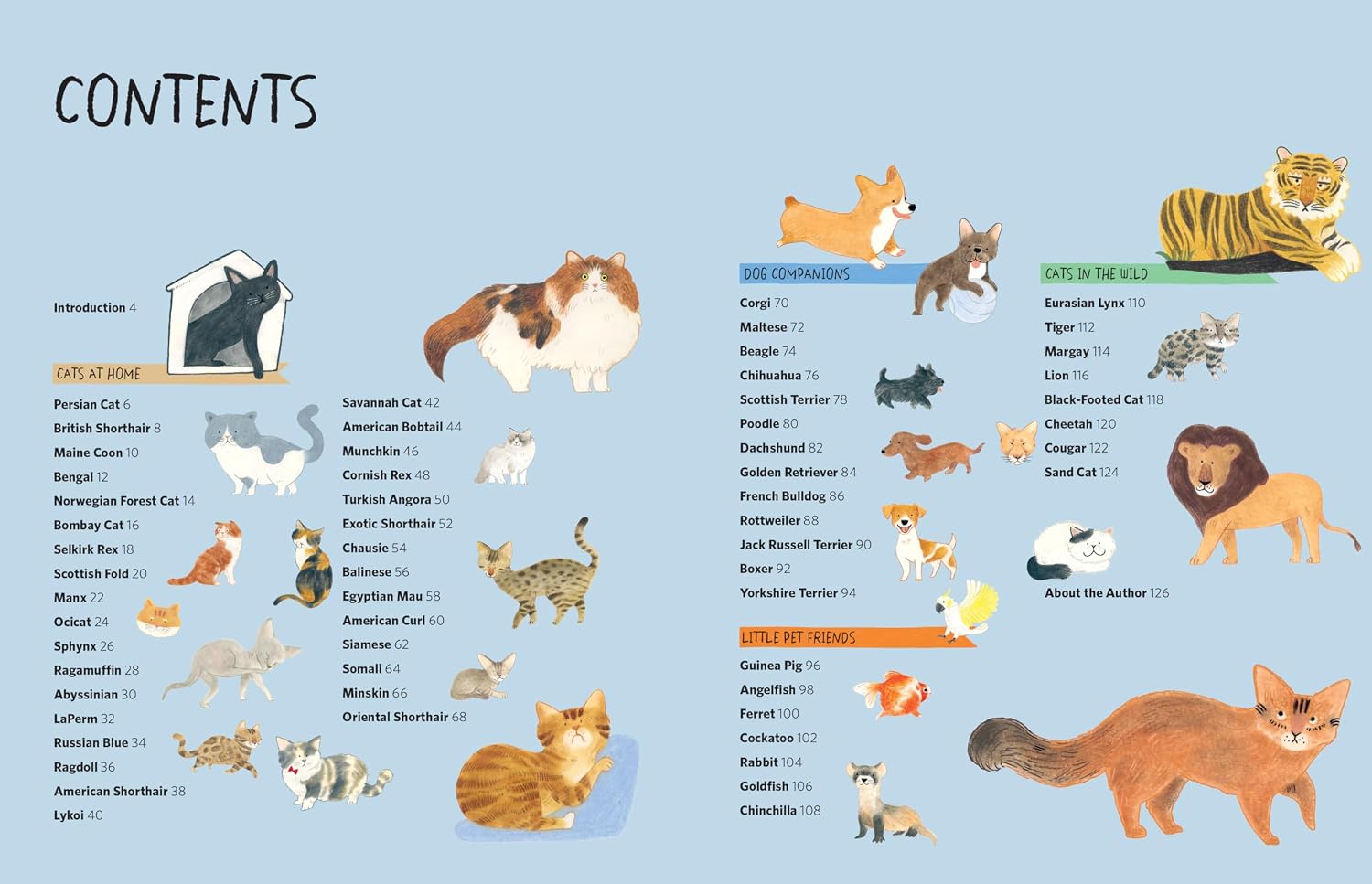 DRAWING CLASS: CATS AT HOME AND IN THE WILD