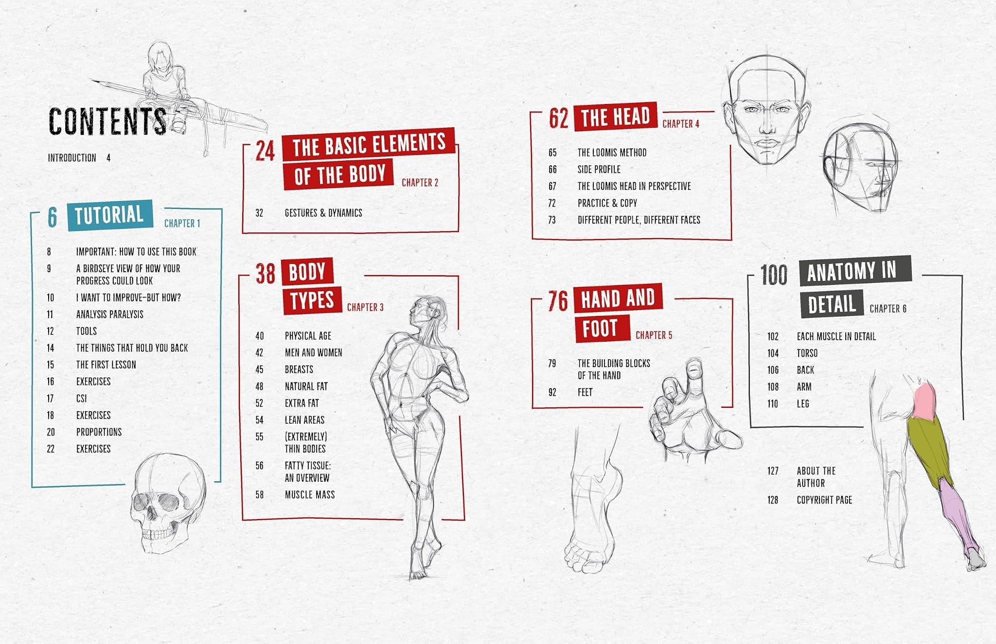 DRAW LIKE A MANGAKA ANATOMICAL REFERENCE
