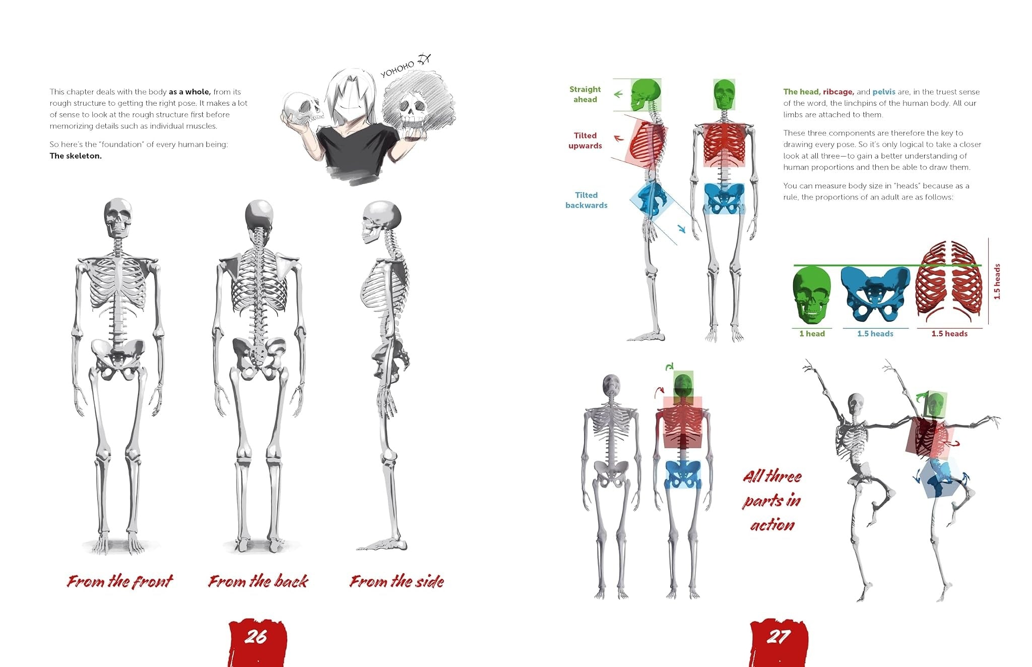 DRAW LIKE A MANGAKA ANATOMICAL REFERENCE