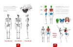 DRAW LIKE A MANGAKA ANATOMICAL REFERENCE