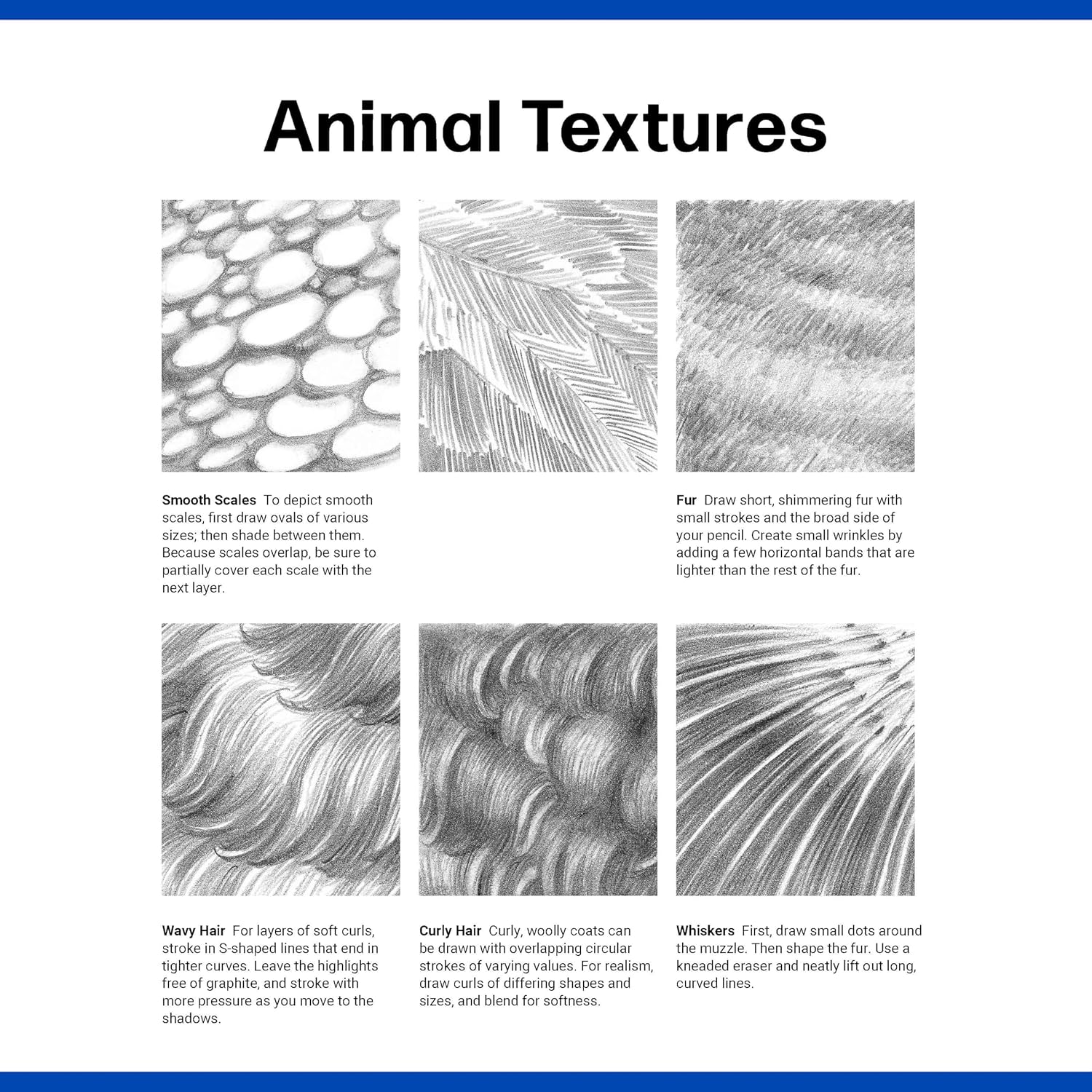 QUICK START DRAWING ANIMALS