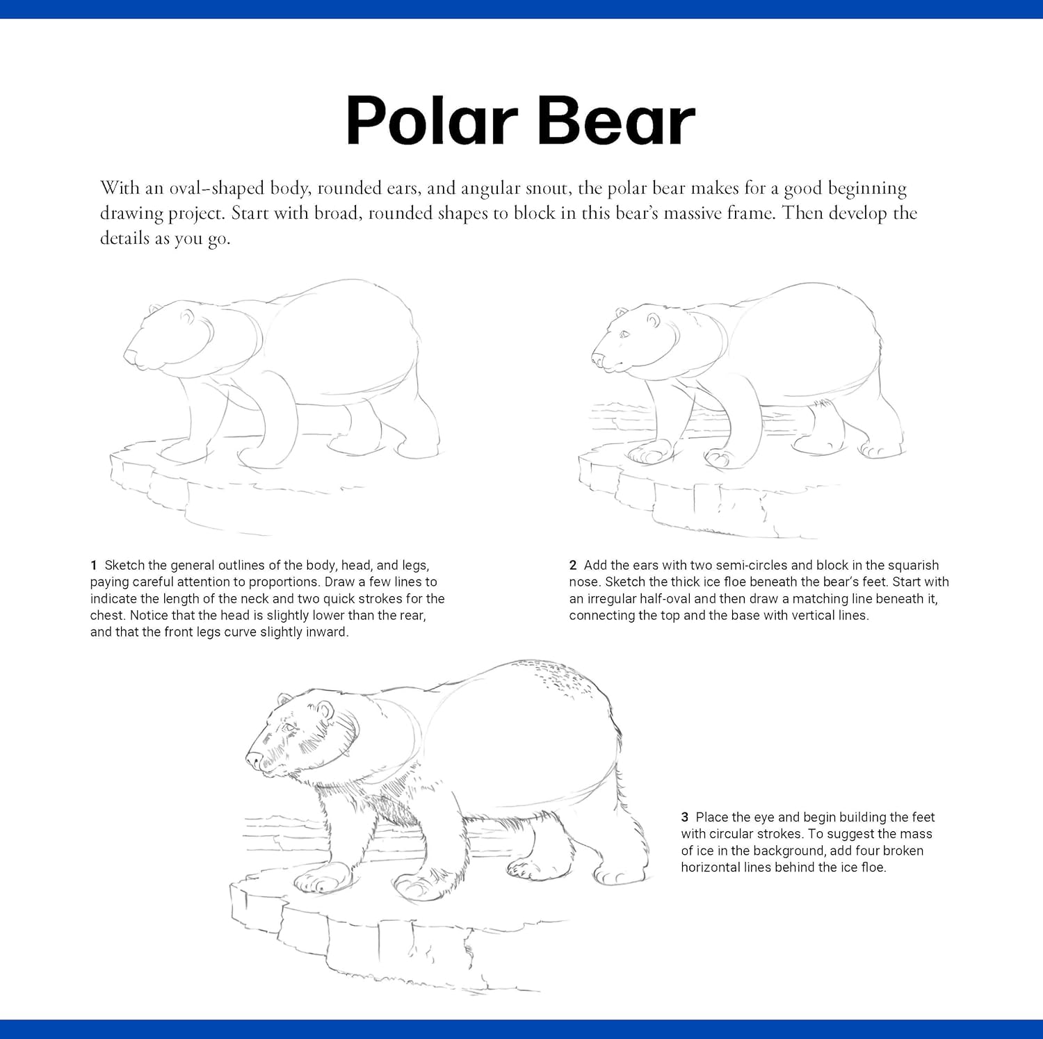 QUICK START DRAWING ANIMALS