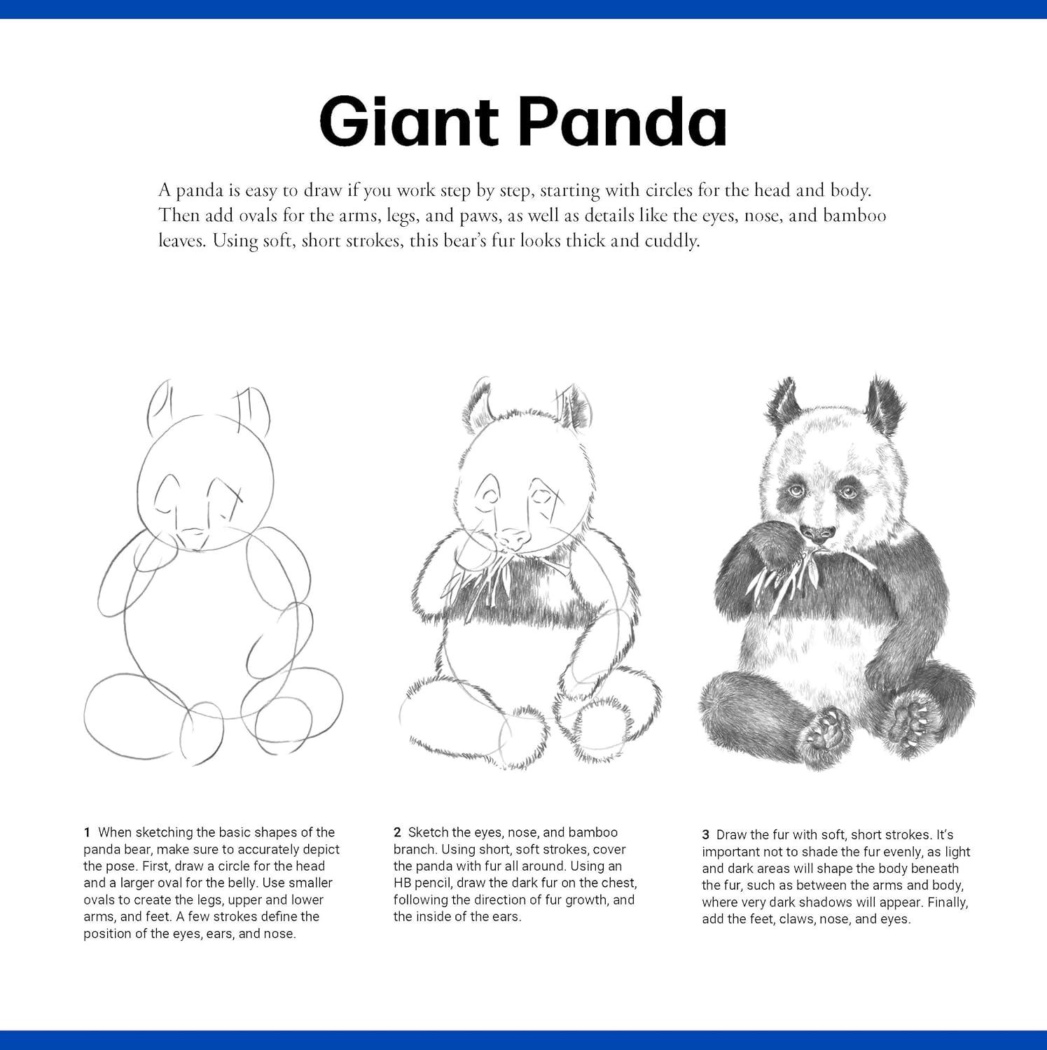 QUICK START DRAWING ANIMALS