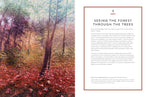 NEW LESSONS IN LANDSCAPE PAINTING KEY CONCEPTS