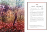 NEW LESSONS IN LANDSCAPE PAINTING KEY CONCEPTS