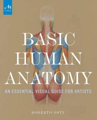 BASIC HUMAN ANATOMY